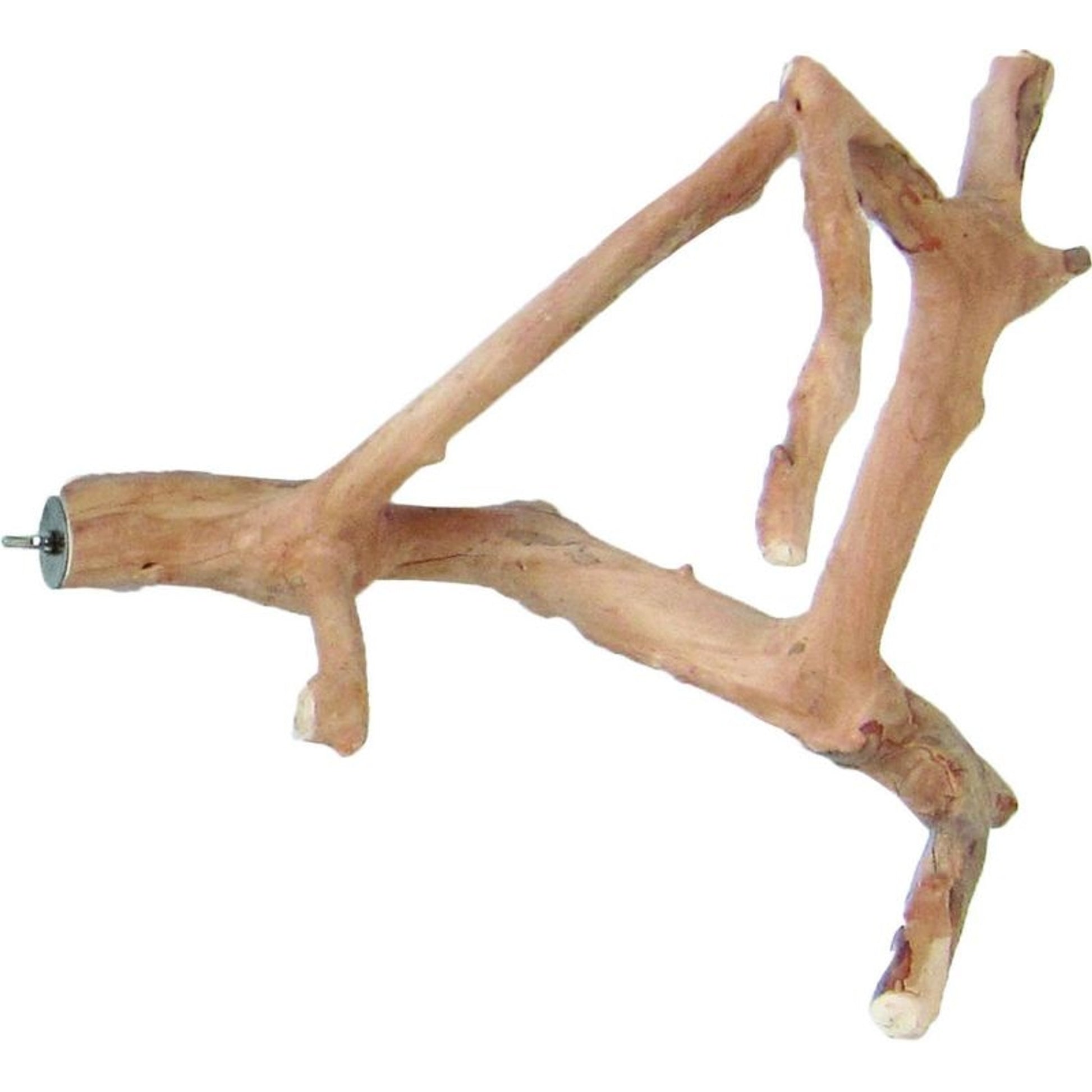 Java Wood Natural Multi Branch Bird Perch