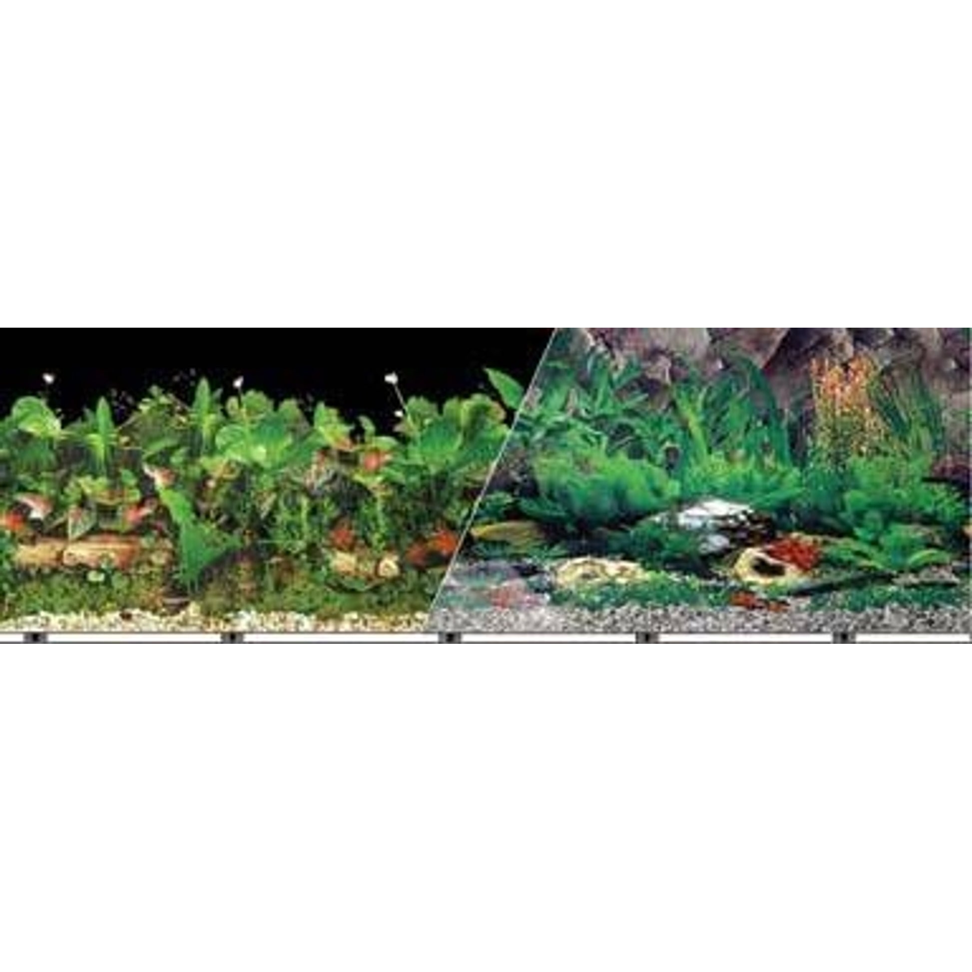 Blue Ribbon Tropical Aquarium Background
