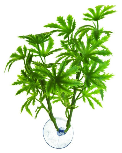 ZooMed Betta Papaya Plant