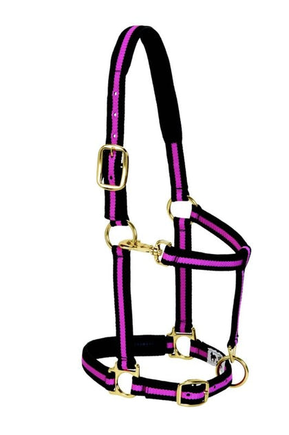 Weaver Leather Padded Adjustable Halter