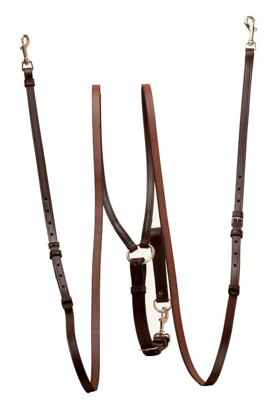Tory Vienna Training Draw Reins