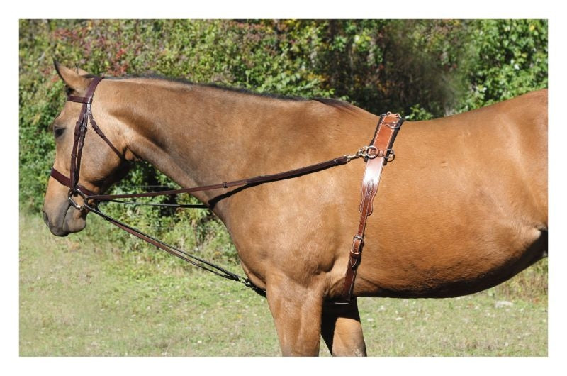Tory Vienna Training Draw Reins