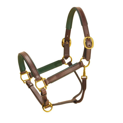 Tory Padded Leather Halter