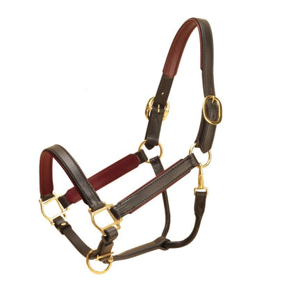 Tory Padded Leather Halter