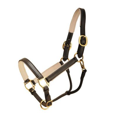 Tory Padded Leather Halter