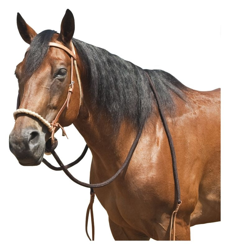 Mustang Harness Leather Breaking Hackamore