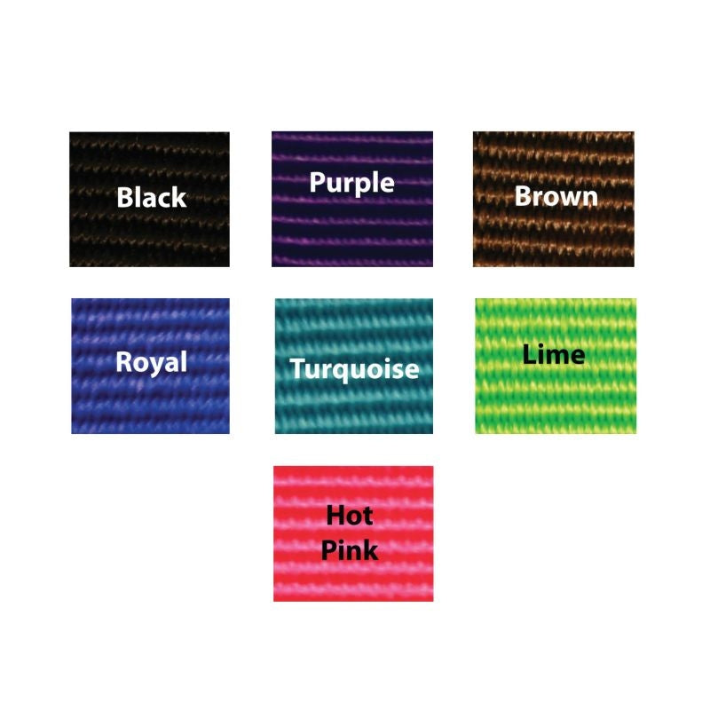 Triple E Nylon Padded Halter Trail Bridle