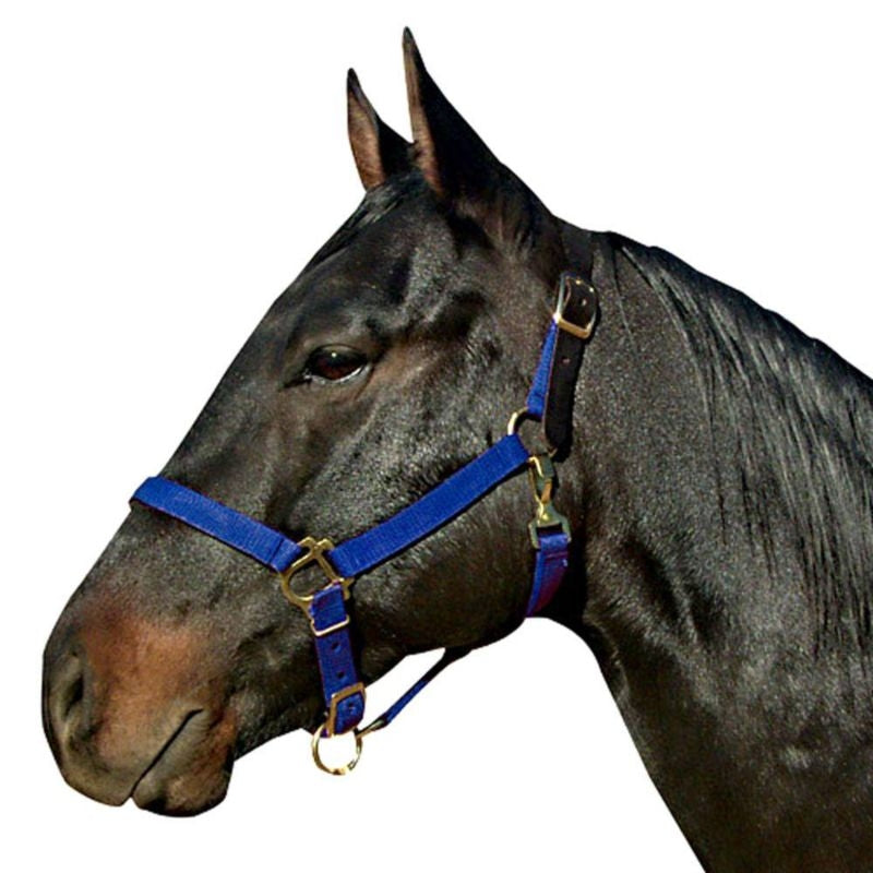 Leather Crown Nylon Breakaway Halter