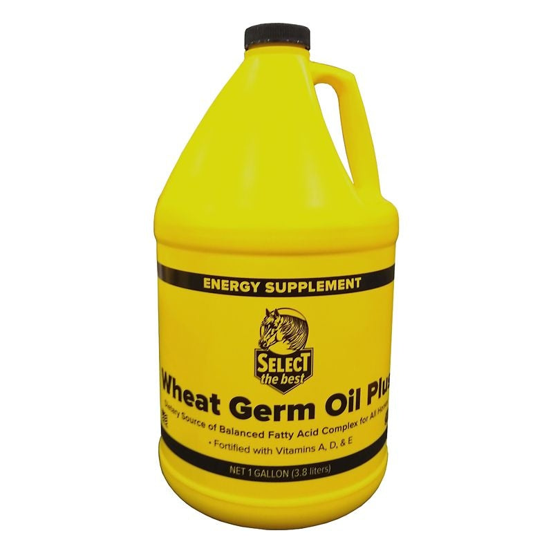Select the Best Wheat Germ Oil Plus