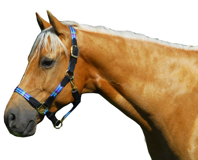 Highland Plaid Halter with Leather