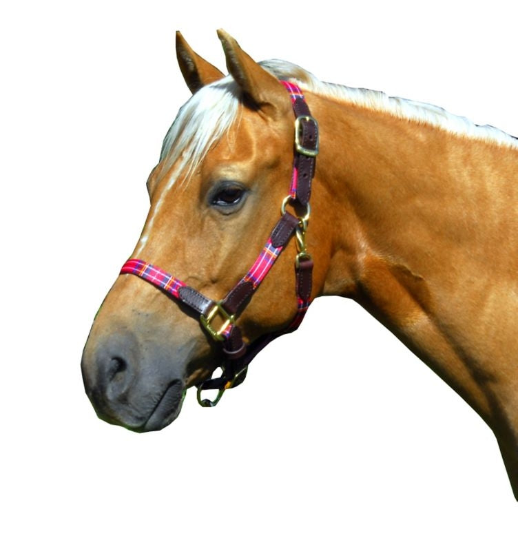 Highland Plaid Halter with Leather