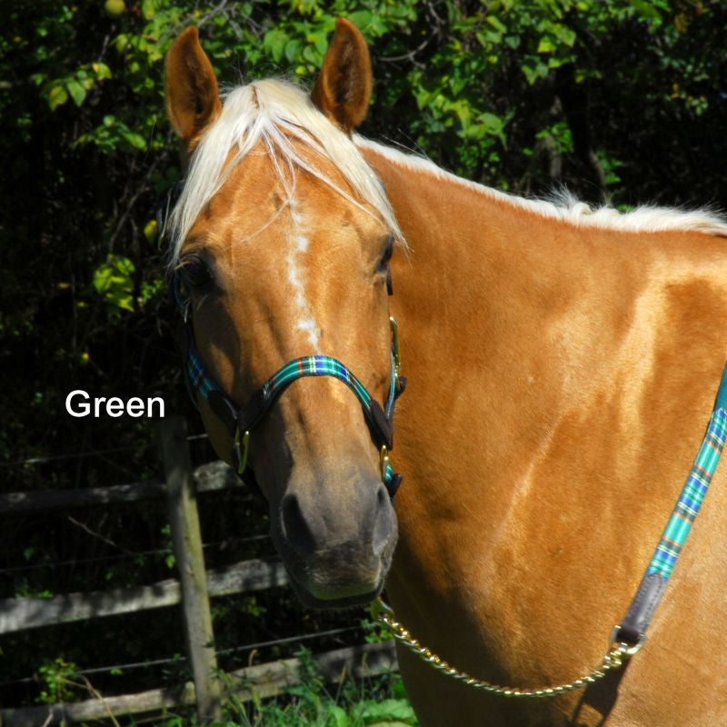 Highland Plaid Halter with Leather