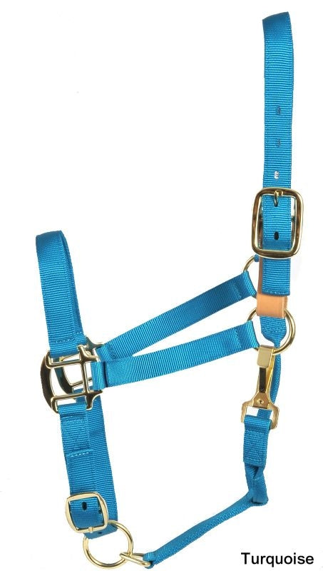 Deluxe Breakaway Fuse 3-Ply Nylon Halter with Snap
