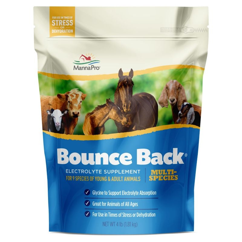 Manna Pro Bounce Back Electrolyte