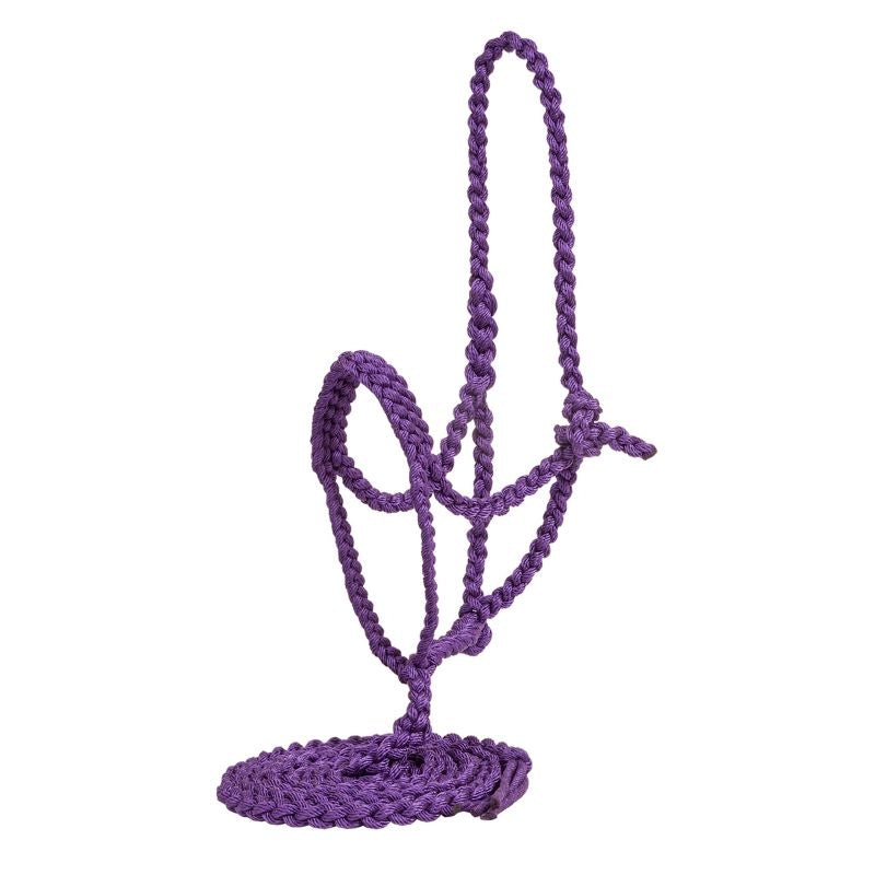 Mustang Flat Plaited Noseband Halter with Lead