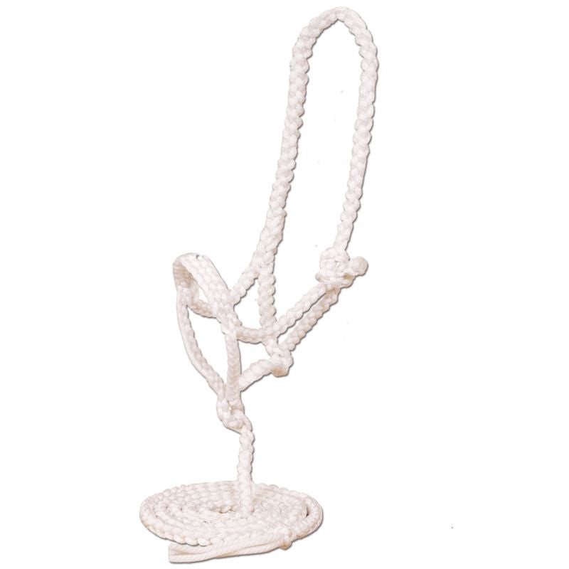 Mustang Flat Plaited Noseband Halter with Lead