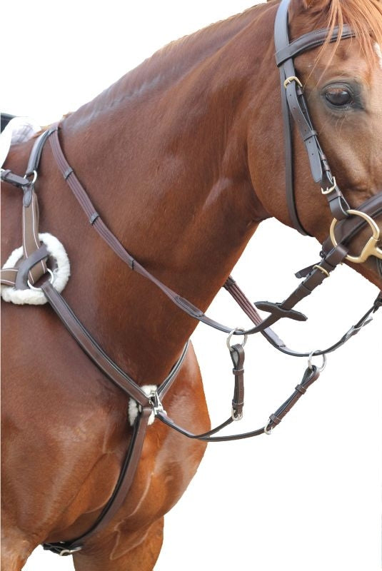 Collegiate 5 Point Breastplate