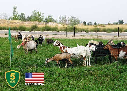 Electric Poultry and Goat Netting