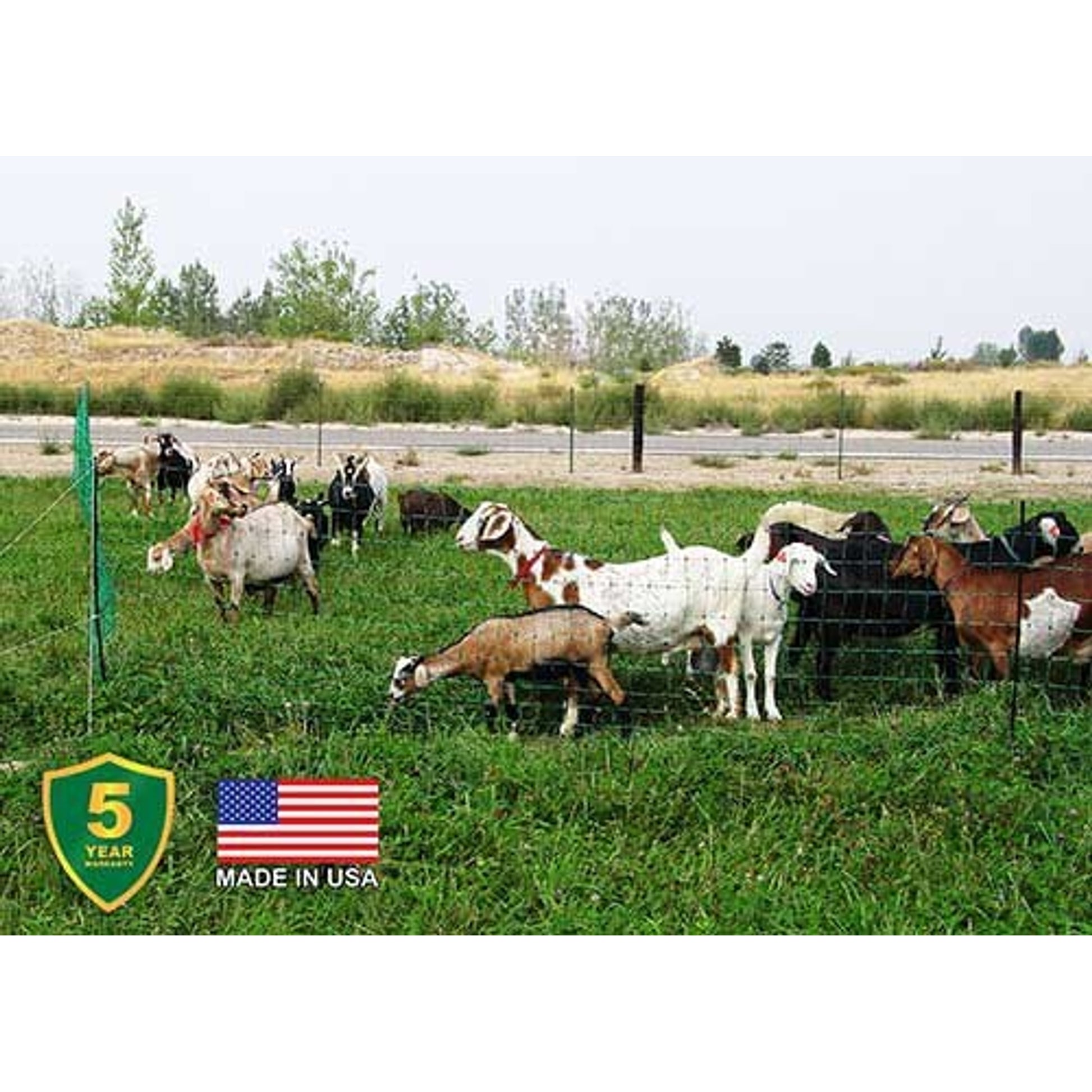 Electric Poultry and Goat Netting