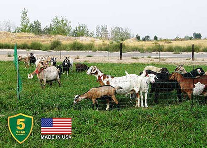 Electric Poultry and Goat Netting