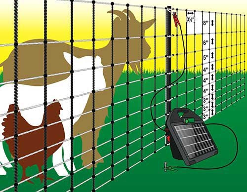 Electric Poultry and Goat Netting