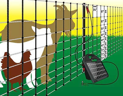Electric Poultry and Goat Netting