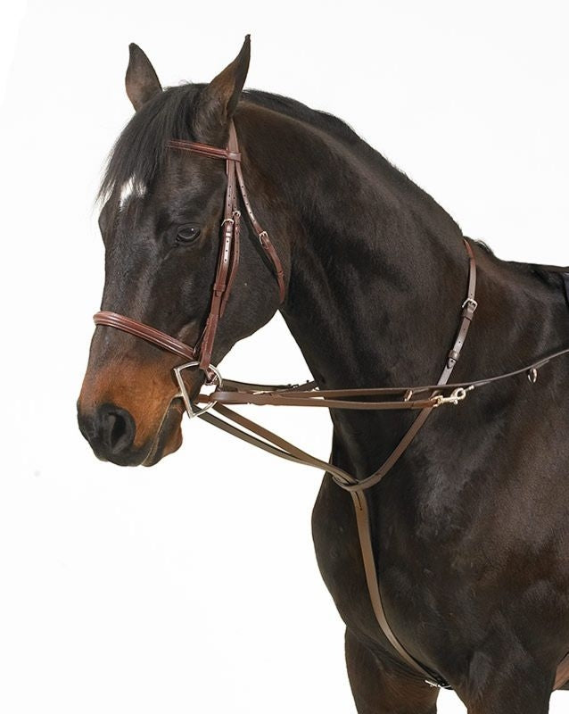 Camelot German Martingale Rein