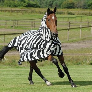 Bucas Zebra Fly Sheet