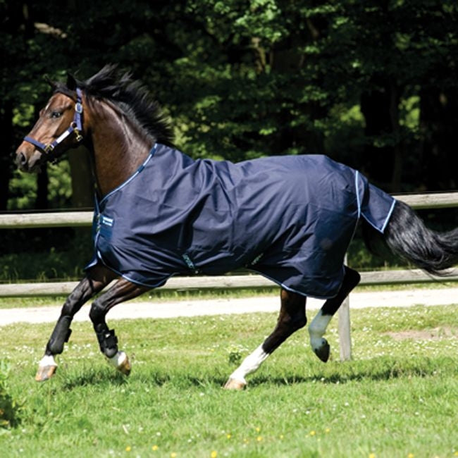 Amigo Bravo 12 Original Turnout 400g