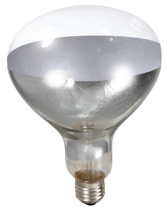 Brooder Clear Heat Lamp Bulb