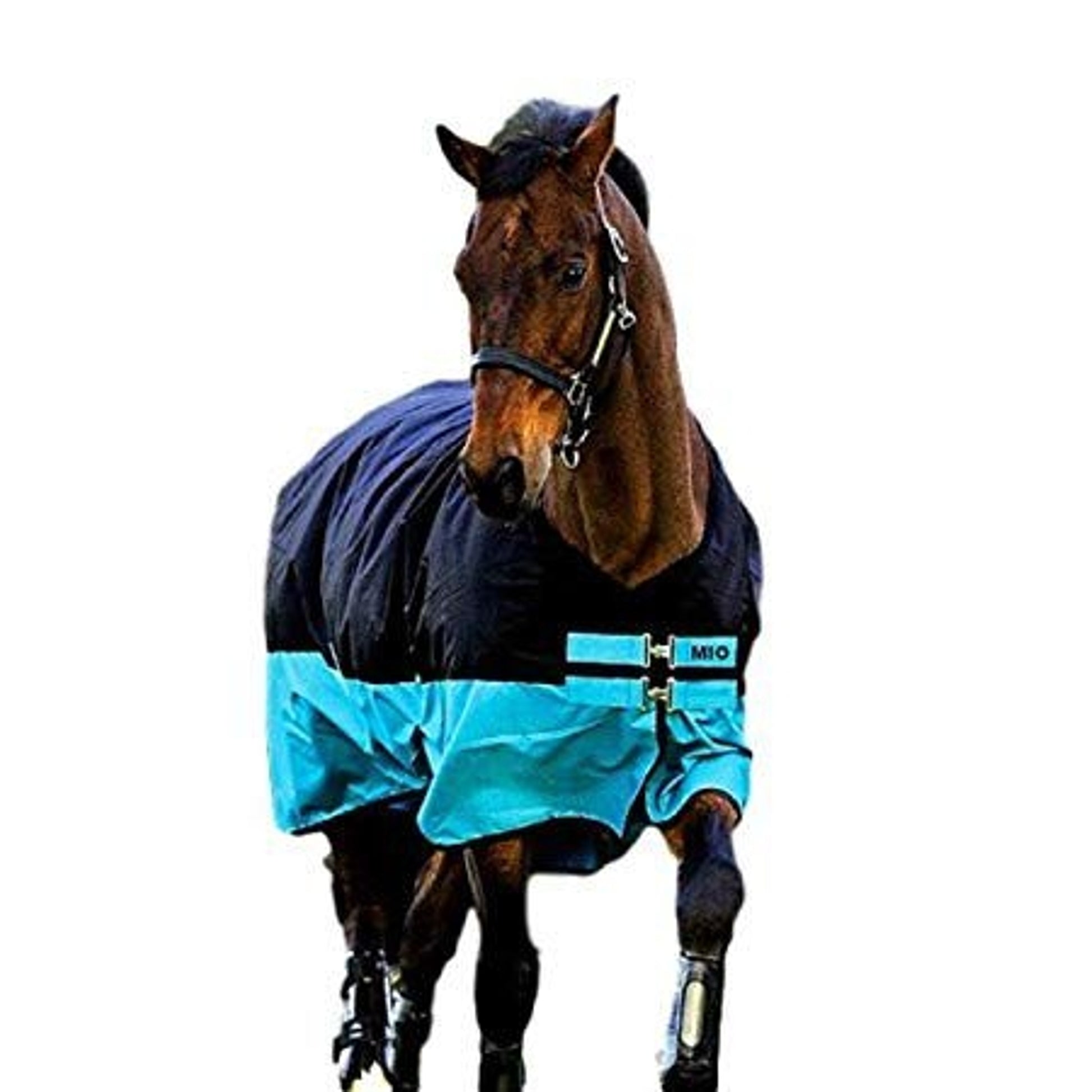 Turnout Sheet Pattern Mio Turnout Sheet Lite– Horse.com