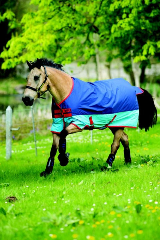 Mio Turnout Sheet Lite