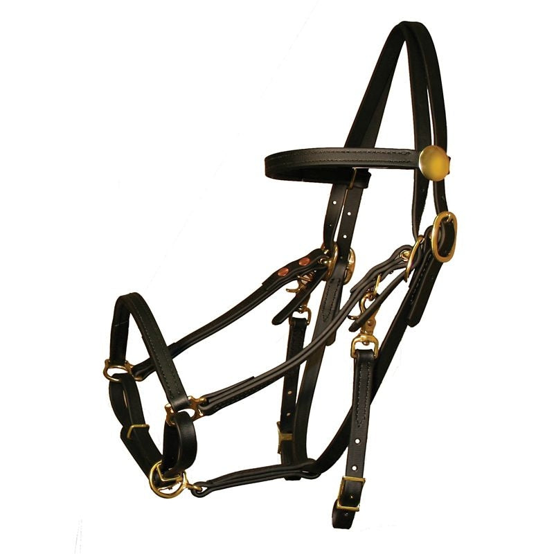Tucker Beta BioThane Bridle with Brass