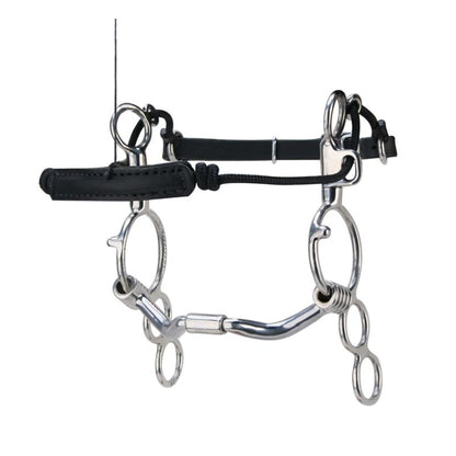 Myler SS 3Ring Combo Bit 6 Shank Port Barrel