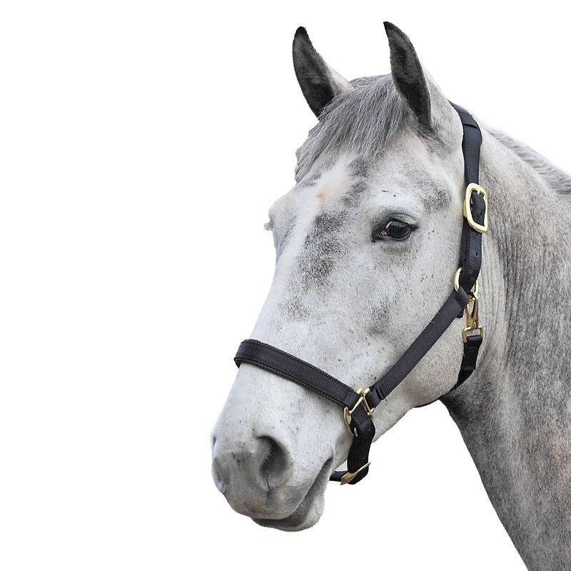 Shires Topaz Nylon Halter