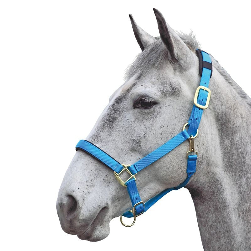 Shires Topaz Nylon Halter