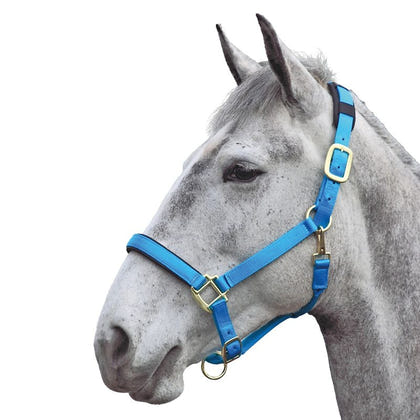 Shires Topaz Nylon Halter