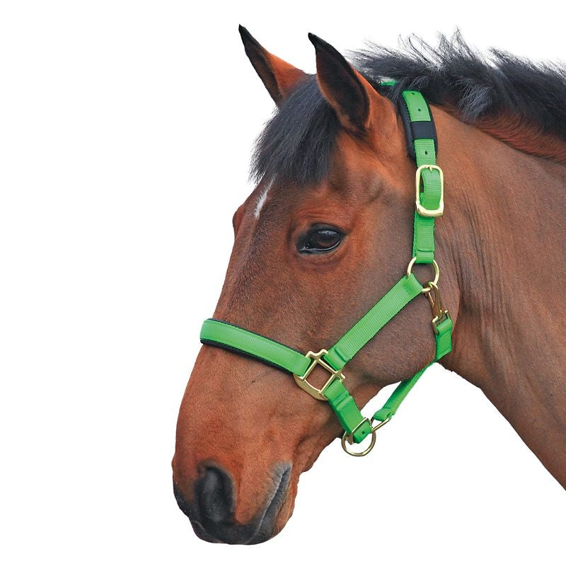 Shires Topaz Nylon Halter