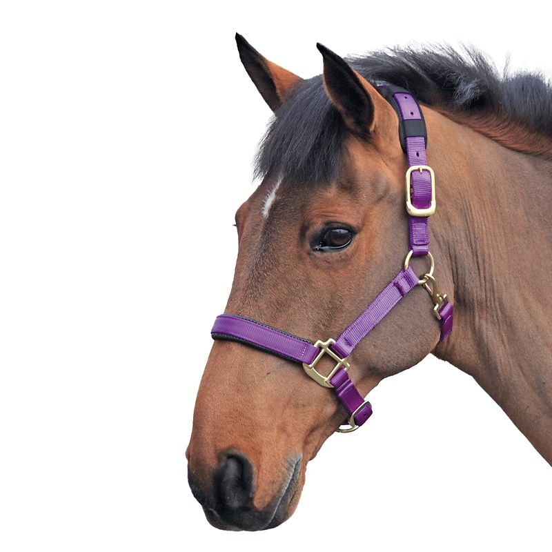 Shires Topaz Nylon Halter