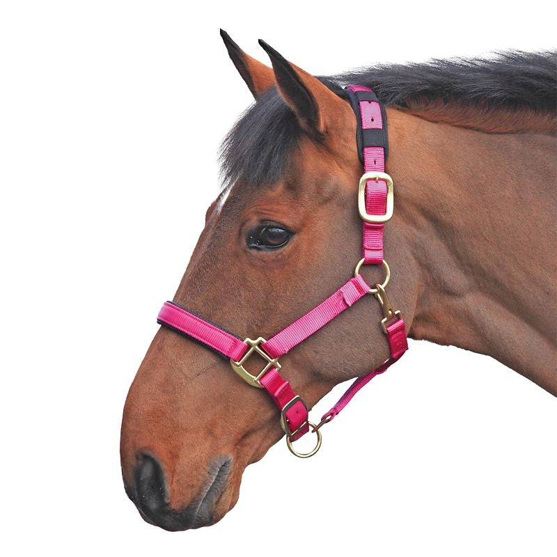 Shires Topaz Nylon Halter