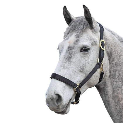 Shires Topaz Nylon Halter