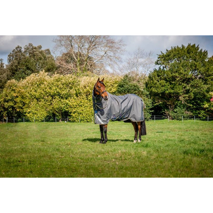 Amigo Bravo 12 Plus Sheet Pony