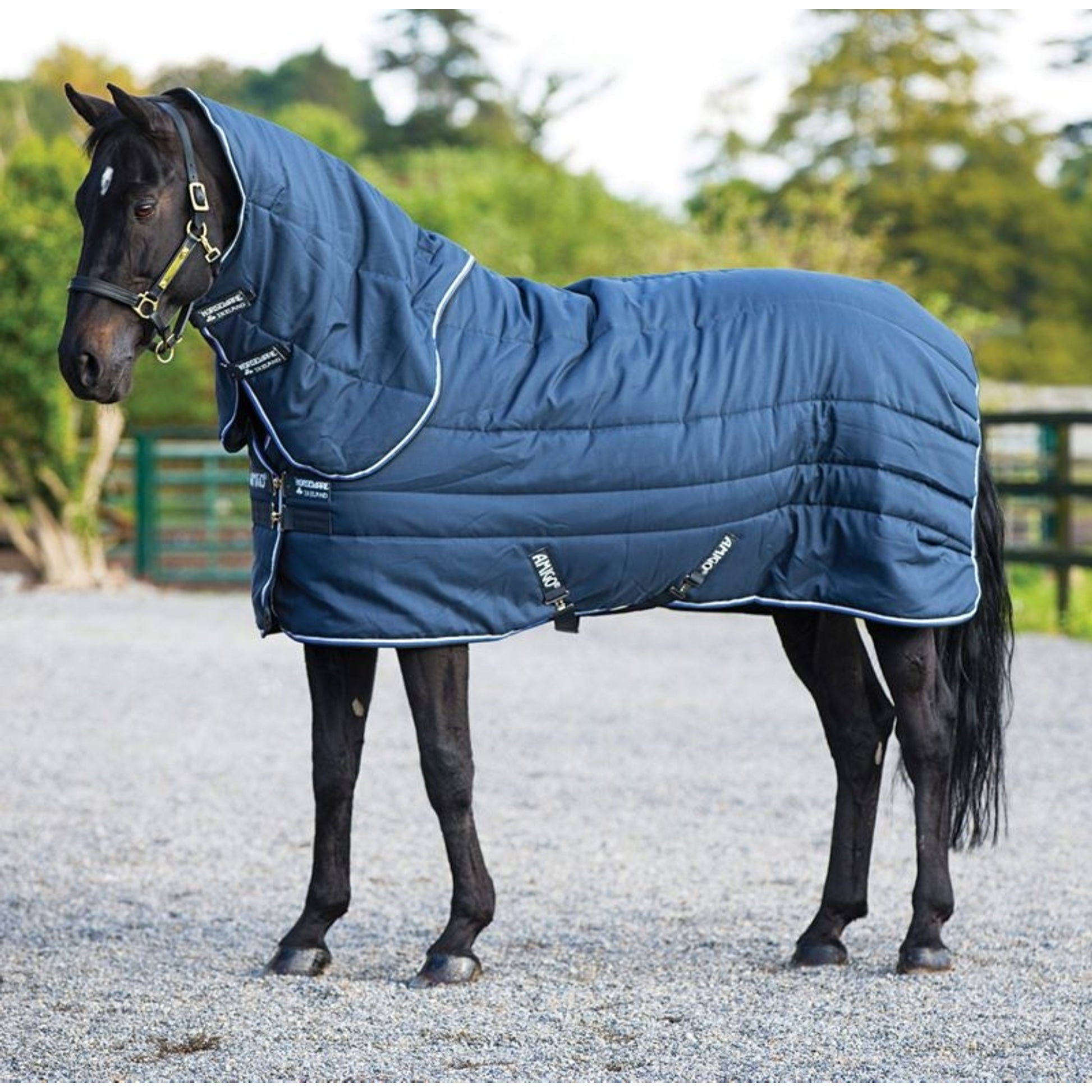 Amigo Stable Vari-Layer Plus Heavy 450g