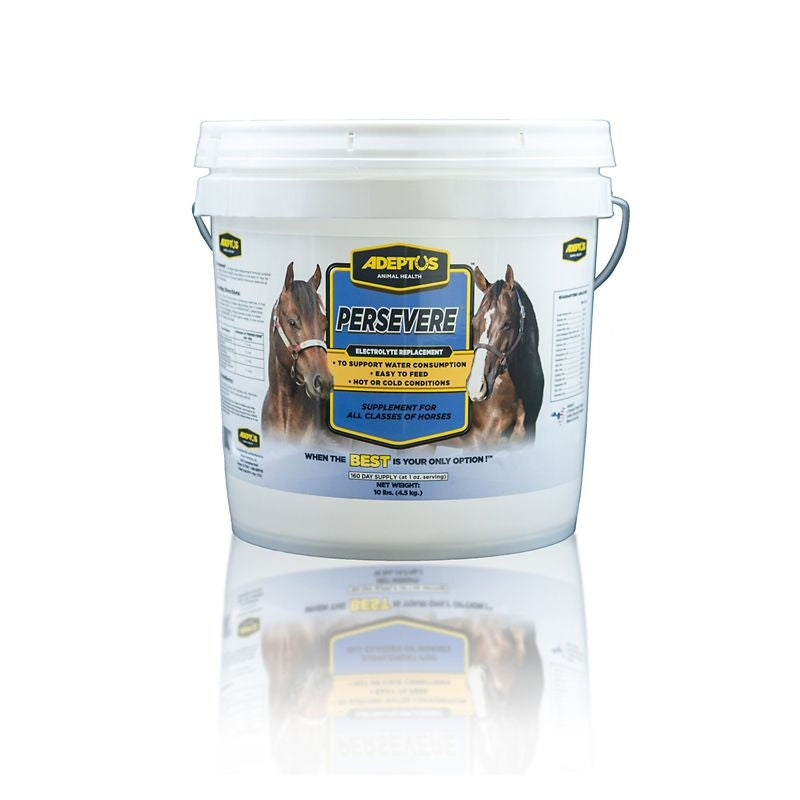 Adeptus Persevere Electrolyte