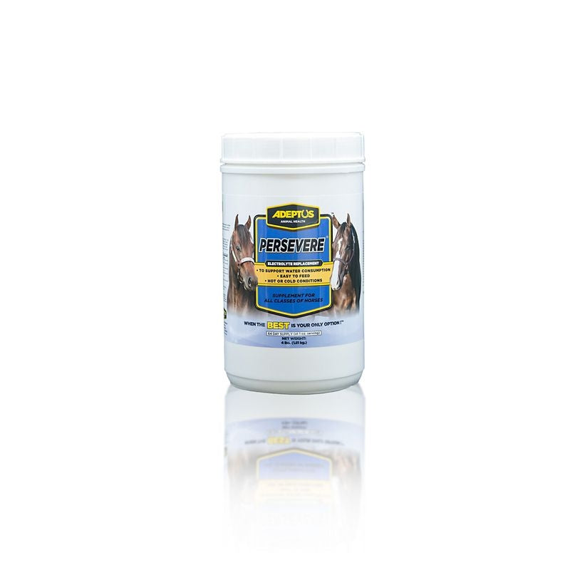 Adeptus Persevere Electrolyte