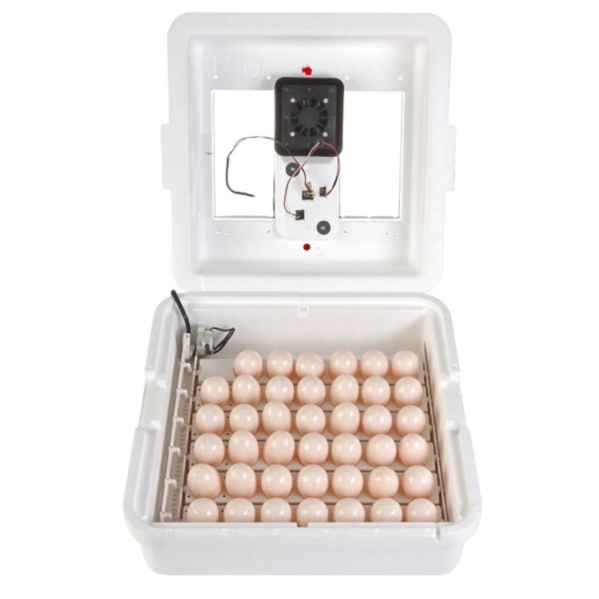 Digital Circulated Air Incubator
