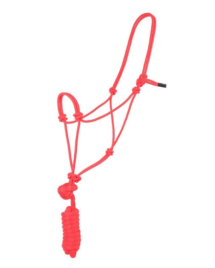 Basic Poly Rope Halter with Lead