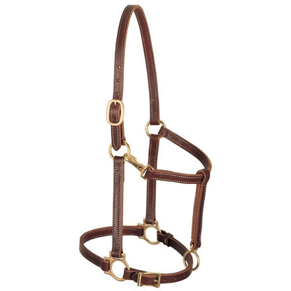 Weaver Track Halter Horse