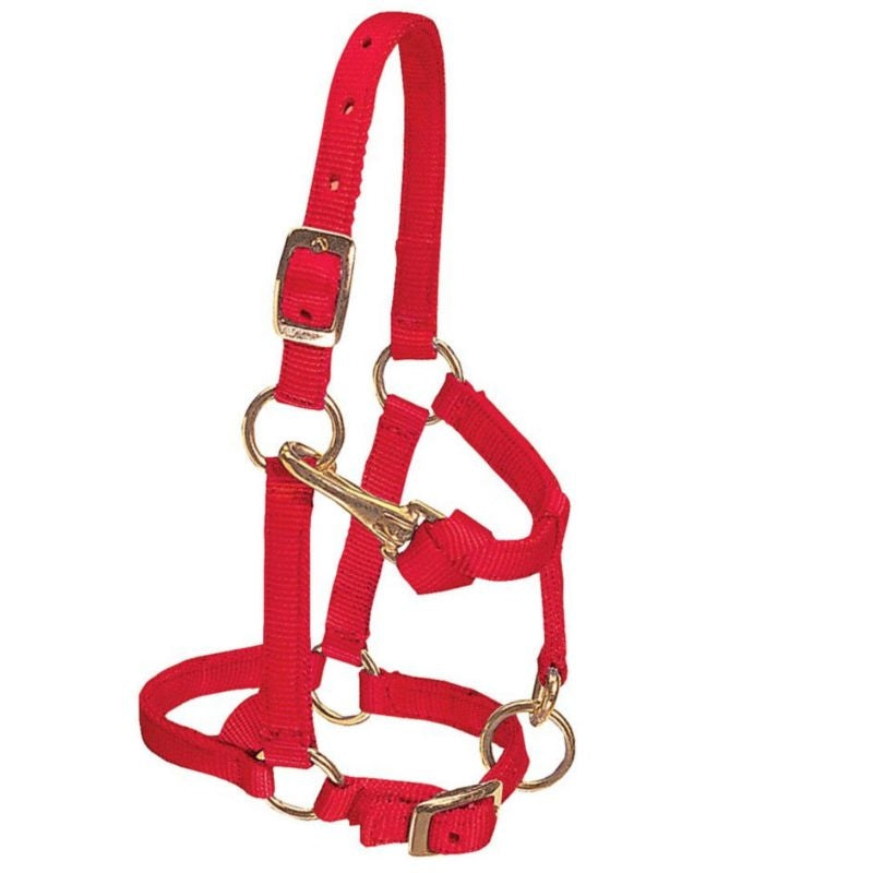 Weaver Mini Adj Nylon Halter Brass