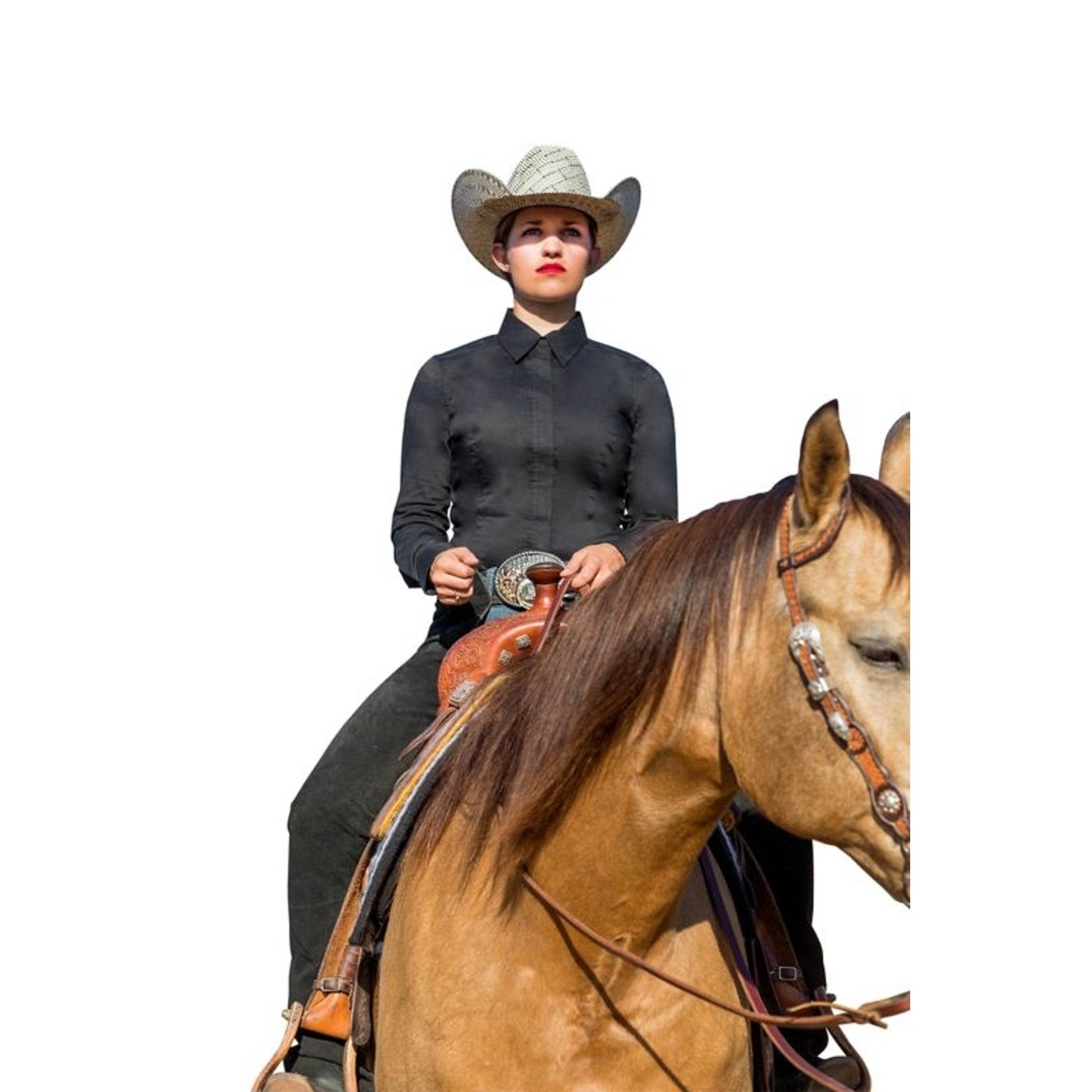 Noble Equestrian Ladies Perfect Fit Show Shirt